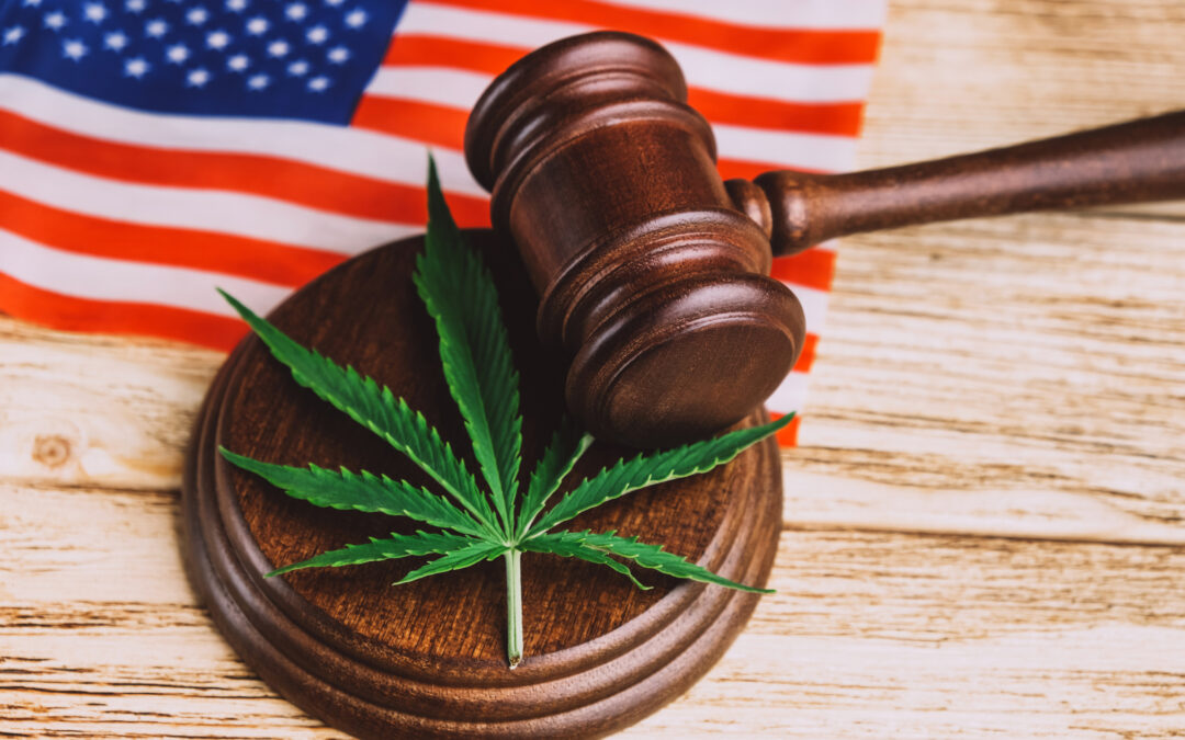 Corte Suprema decidirá si los consumidores de marihuana pueden poseer armas legalmente en Estados Unidos