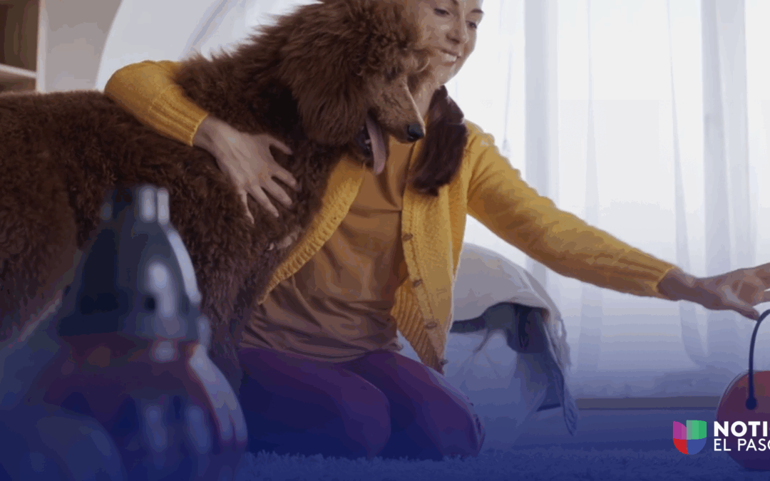 Cómo mantener seguras a tus mascotas durante Halloween en El Paso