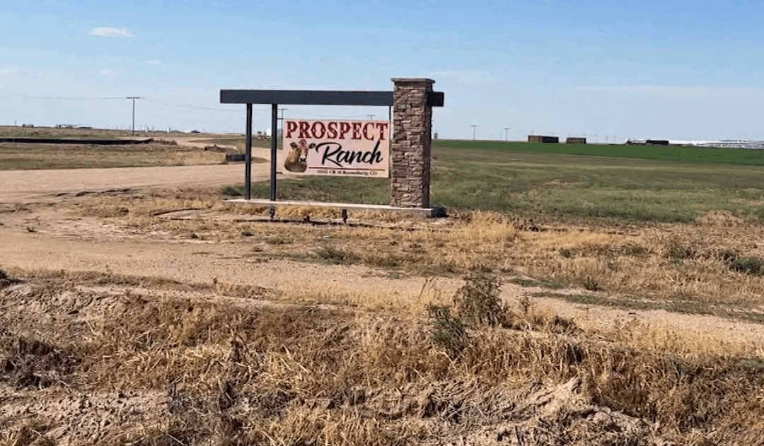 Gas tóxico: seis muertos tras accidente en operación lechera en Condado Weld