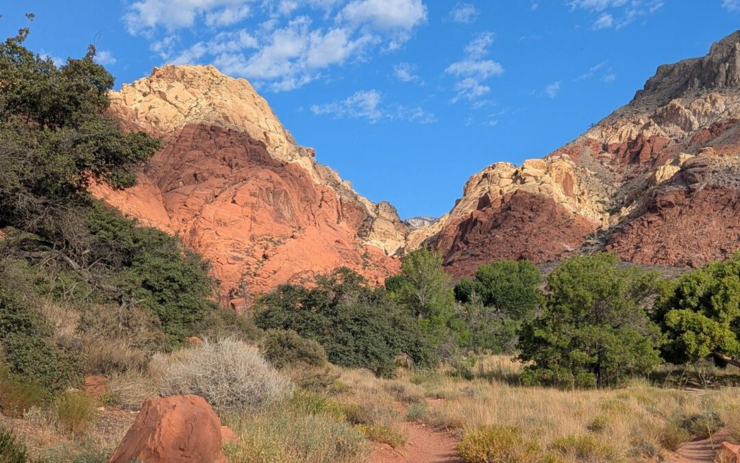 Senadora por Nevada critica sugerencia de Trump sobre resumir pruebas de armas nucleares