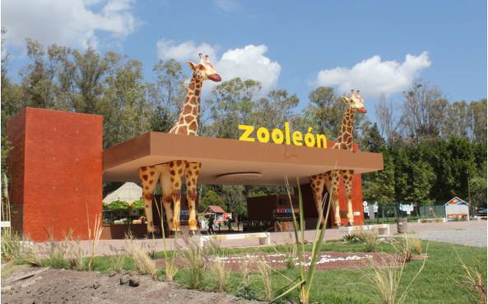 Zoológico de León Refuerza Seguridad Municipal Tras Muerte de 24 Borregos