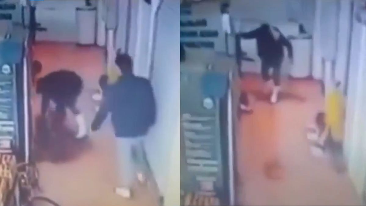 Trabajador de Carnicería en Ecatepec Causa la Muerte de un Gato a Patadas